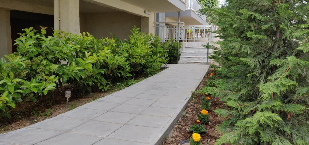 Chelona Apartments نيا بلاجيا المظهر الخارجي الصورة